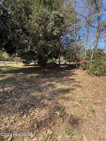 503 Casey Mill Road, Dudley, NC 28333