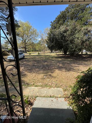 503 Casey Mill Road, Dudley, NC 28333