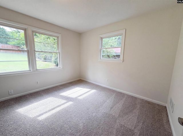 1513 Alpha Court, Columbia, SC 29223