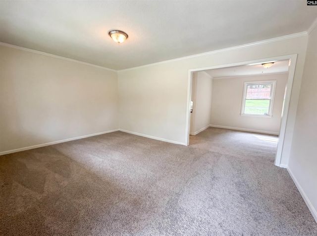 1513 Alpha Court, Columbia, SC 29223
