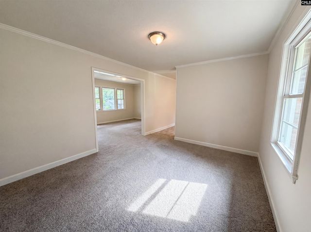 1513 Alpha Court, Columbia, SC 29223