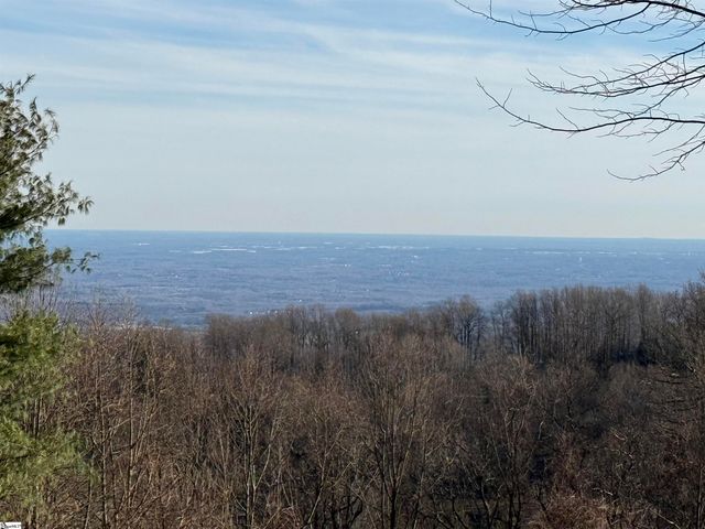 Lot 152 Goldenrod Way, Landrum, SC 29356