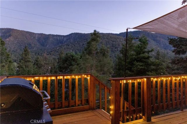 1075 Rivera Drive, Wrightwood, CA 92397