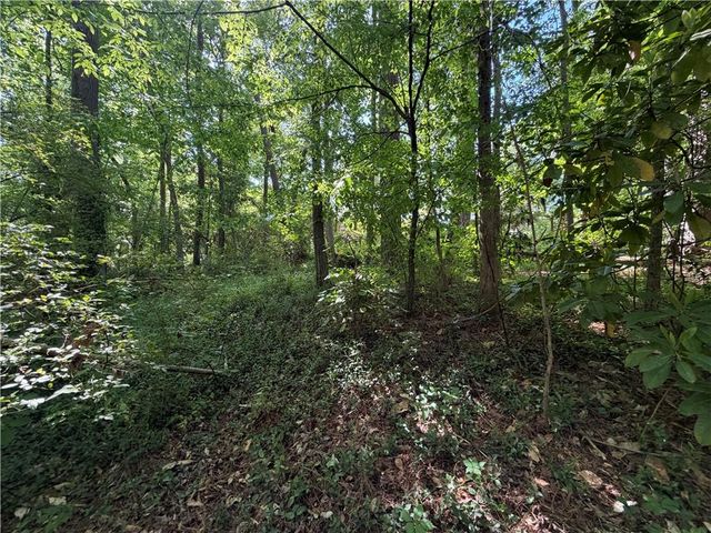 0 Manning Drive, Alpharetta, GA 30009
