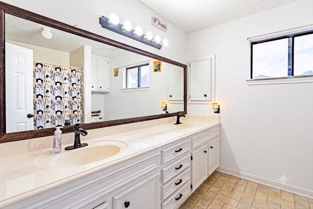 3403 Berry Grove Drive, Spring, TX 77388