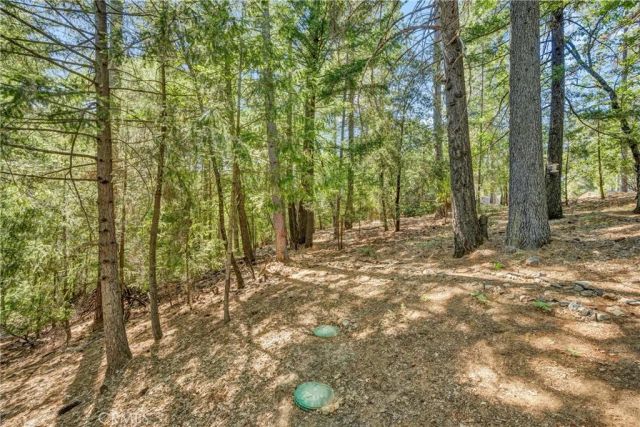 16635 Mountain View Drive, Cobb, CA 95426