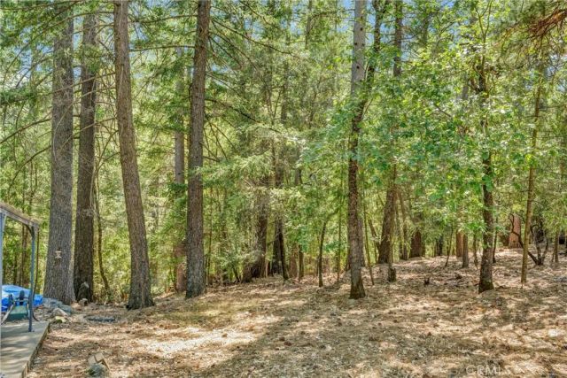 16635 Mountain View Drive, Cobb, CA 95426