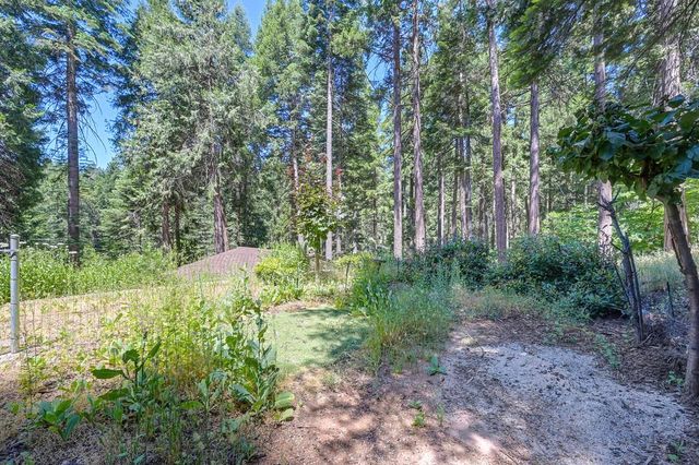 7085 Lakewood Dr, Pollock Pines, CA 95726