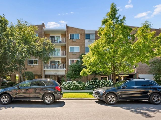 203 N KENILWORTH Avenue 2P, Oak Park, IL 60302