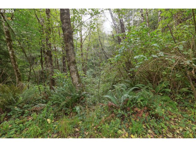62332 ROSS INLET Rd, Coos Bay, OR 97420