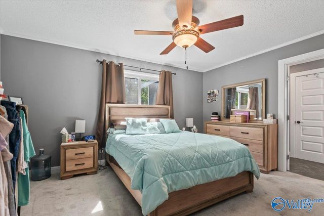 12534 Al Hwy 33, Moulton, AL 35650