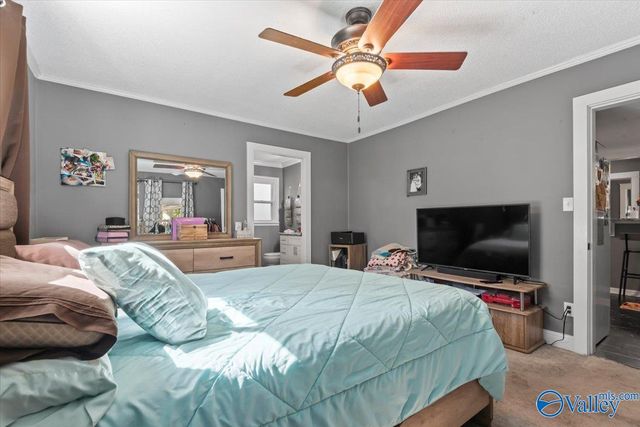 12534 Al Hwy 33, Moulton, AL 35650