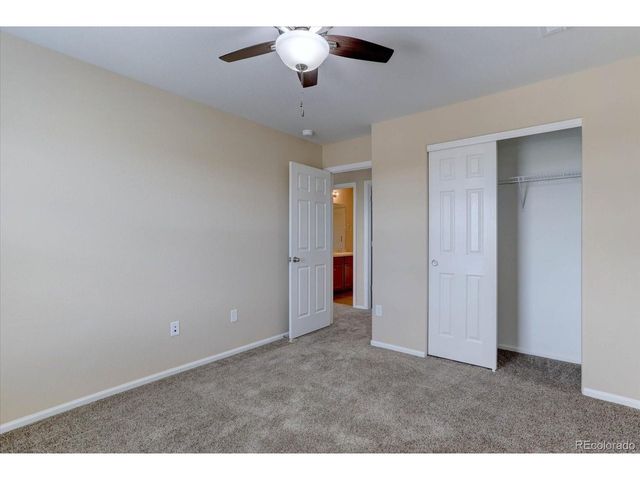 9841 Elk River St, Littleton, CO 80125