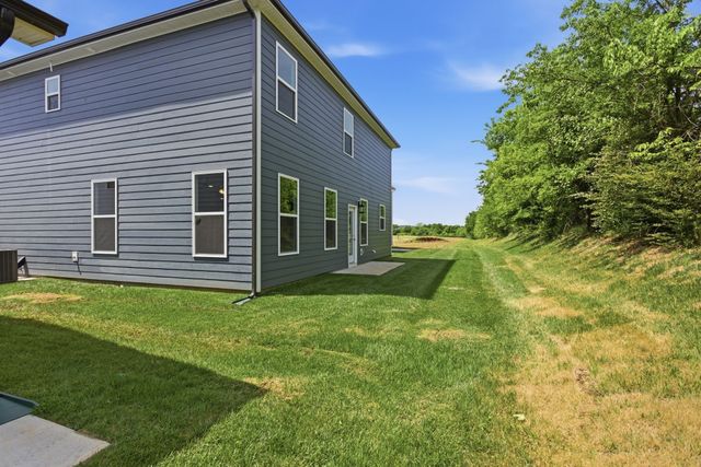 332 Black Bear Drive, Mount Pleasant, TN 38474