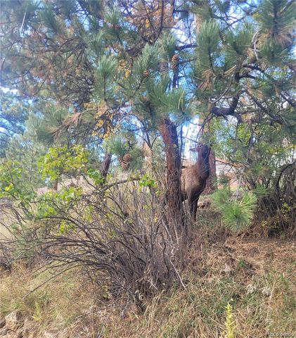 5162 S Road A, Evergreen, CO 80439