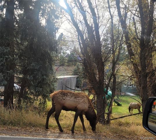 5162 S Road A, Evergreen, CO 80439