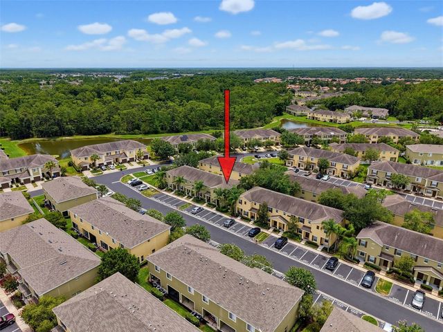 8537 BRUSHLEAF WAY, Tampa, FL 33647