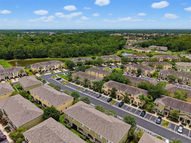 8537 BRUSHLEAF WAY, Tampa, FL 33647