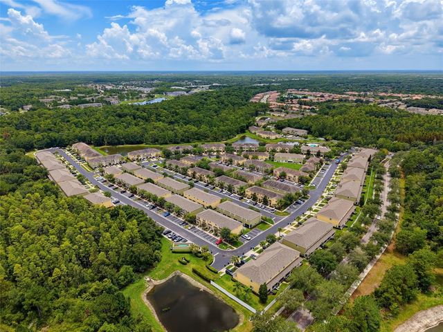8537 BRUSHLEAF WAY, Tampa, FL 33647