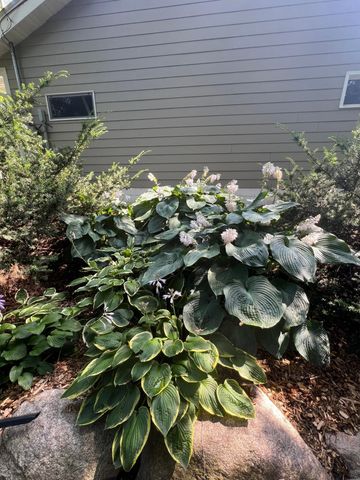 5525 Wedgewood Drive, Excelsior, MN 55331