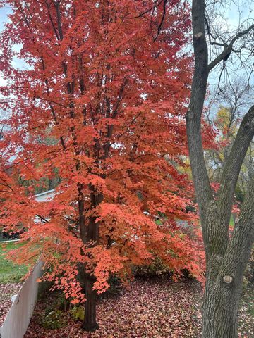 5525 Wedgewood Drive, Excelsior, MN 55331