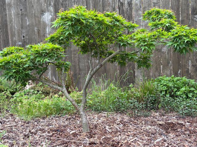 1417 NW Washington Boulevard, Grants Pass, OR 97526