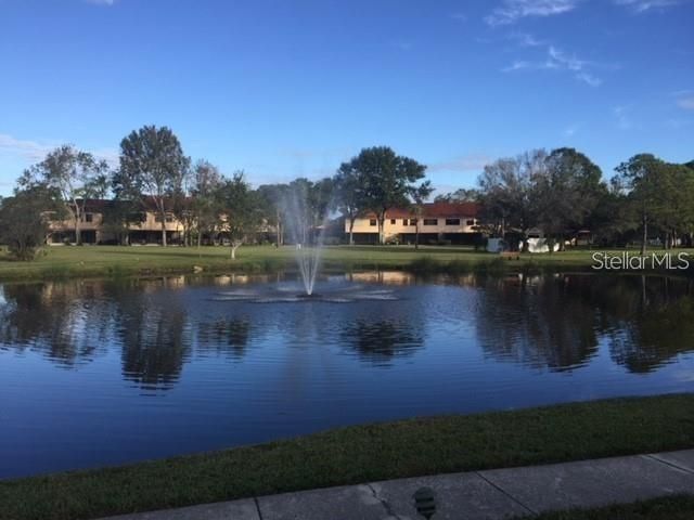 7975 58TH AVENUE N 408, St Petersburg, FL 33709