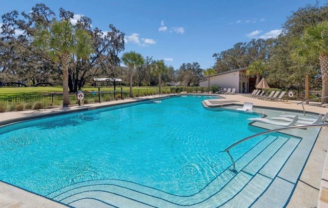 13720 STEVENSON LANE, Odessa, FL 33556