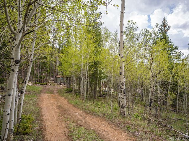 2227 Osage Trail, Red Feather Lakes, CO 80545