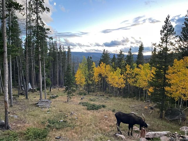 2227 Osage Trail, Red Feather Lakes, CO 80545