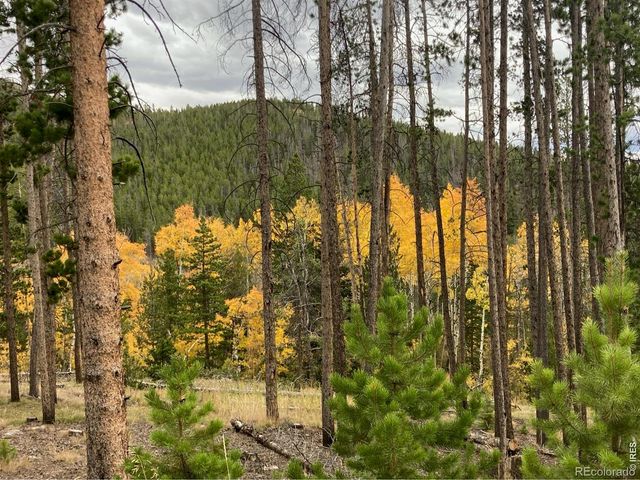 2227 Osage Trail, Red Feather Lakes, CO 80545