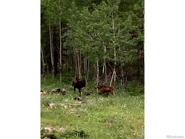 2227 Osage Trail, Red Feather Lakes, CO 80545