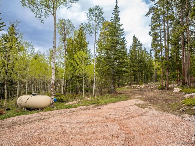 2227 Osage Trail, Red Feather Lakes, CO 80545