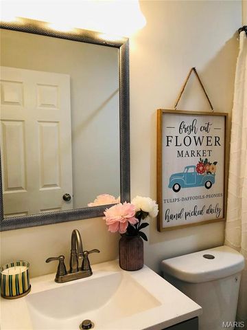 5325 Brooktop Court, Mehlville, MO 63128