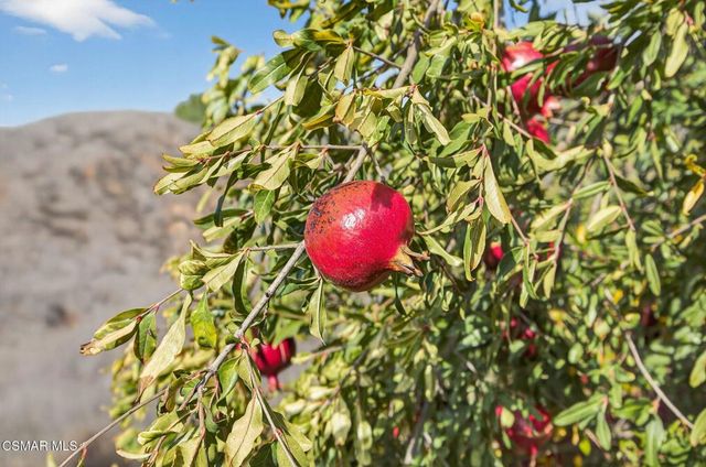 1560 Goodenough Road, Fillmore, CA 93015