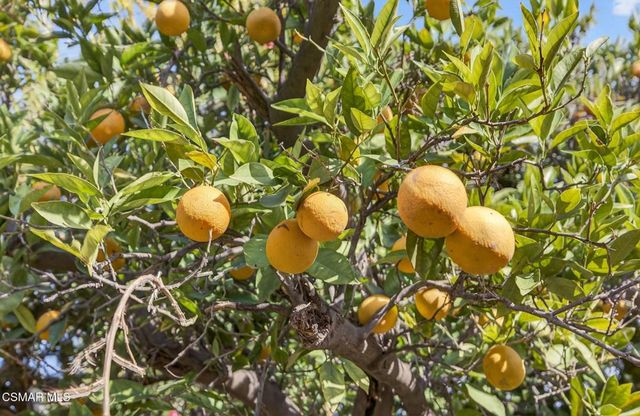 1560 Goodenough Road, Fillmore, CA 93015