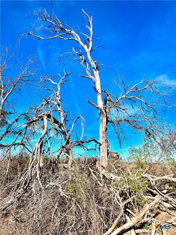 TBD TraCT H Scull Rd, Martindale, TX 78655