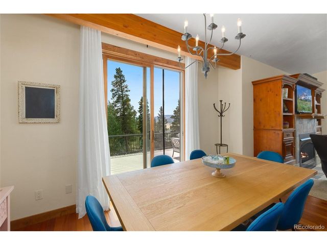 592 Ponderosa Rd, Alma, CO 80440