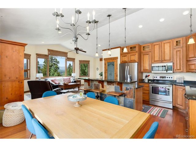 592 Ponderosa Rd, Alma, CO 80440