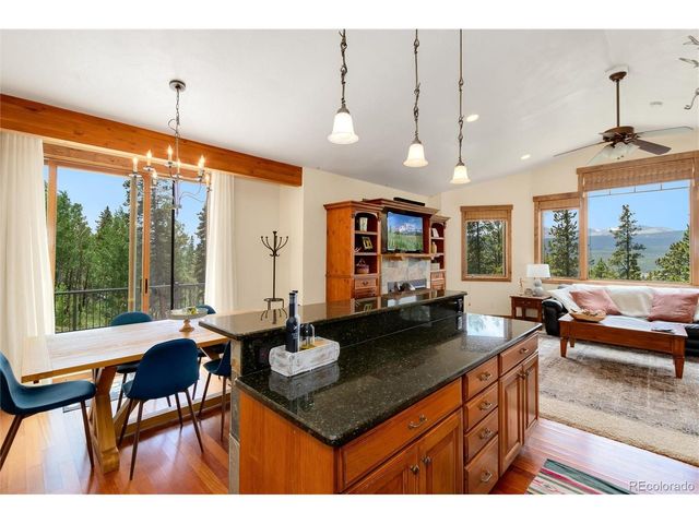 592 Ponderosa Rd, Alma, CO 80440