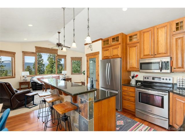 592 Ponderosa Rd, Alma, CO 80440