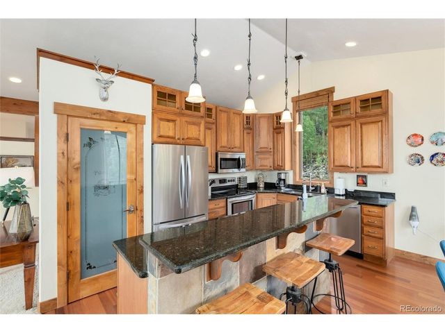 592 Ponderosa Rd, Alma, CO 80440