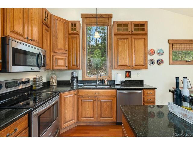 592 Ponderosa Rd, Alma, CO 80440