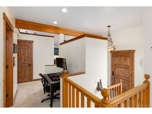 592 Ponderosa Rd, Alma, CO 80440