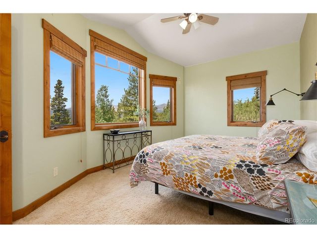592 Ponderosa Rd, Alma, CO 80440
