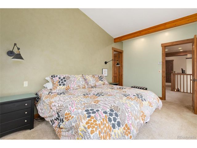 592 Ponderosa Rd, Alma, CO 80440