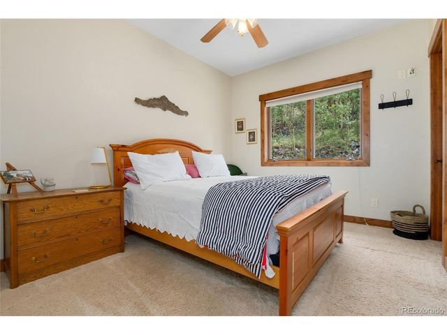 592 Ponderosa Rd, Alma, CO 80440