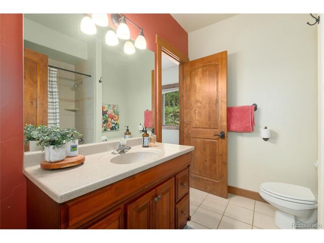592 Ponderosa Rd, Alma, CO 80440