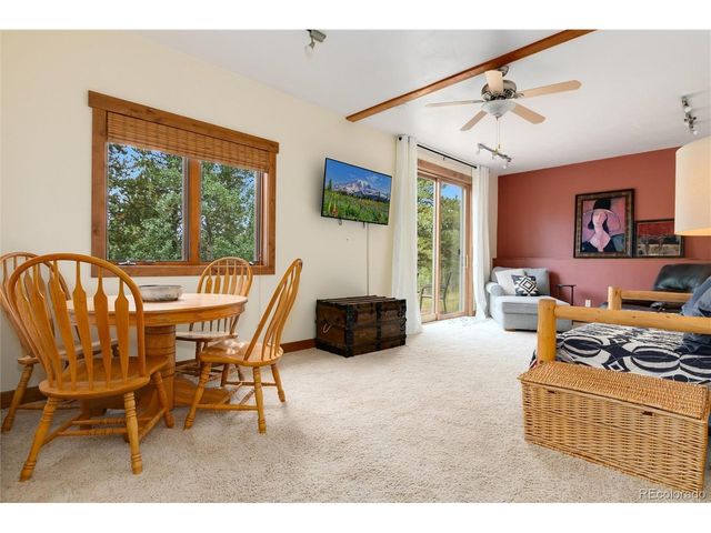 592 Ponderosa Rd, Alma, CO 80440