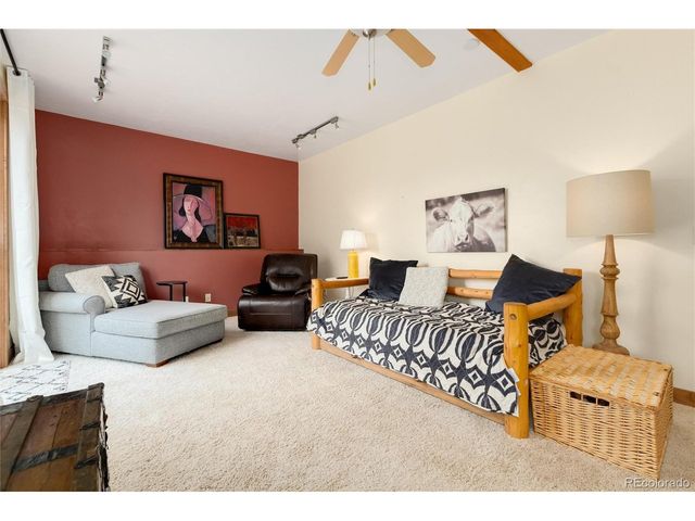 592 Ponderosa Rd, Alma, CO 80440